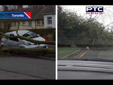 Intense Ontario Storm Downs Trees, Leaves Thousands Without Power
